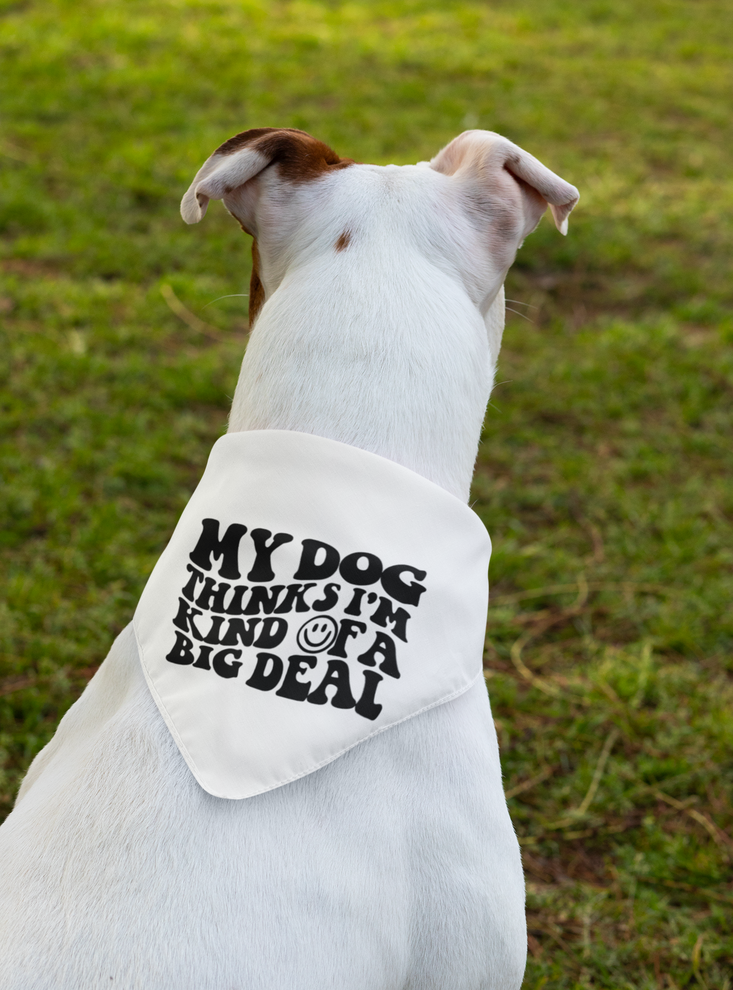 Dog Bandana-My Dog Thinks I'm a Big Deal